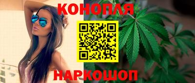 сатива Лесосибирск