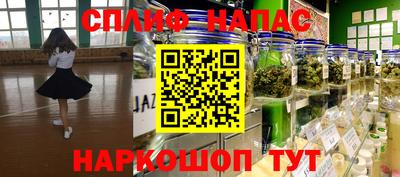 сатива Лесосибирск