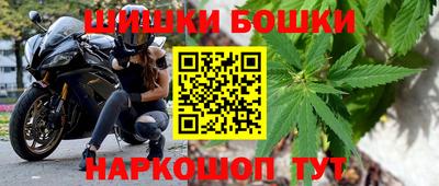 сатива Лесосибирск