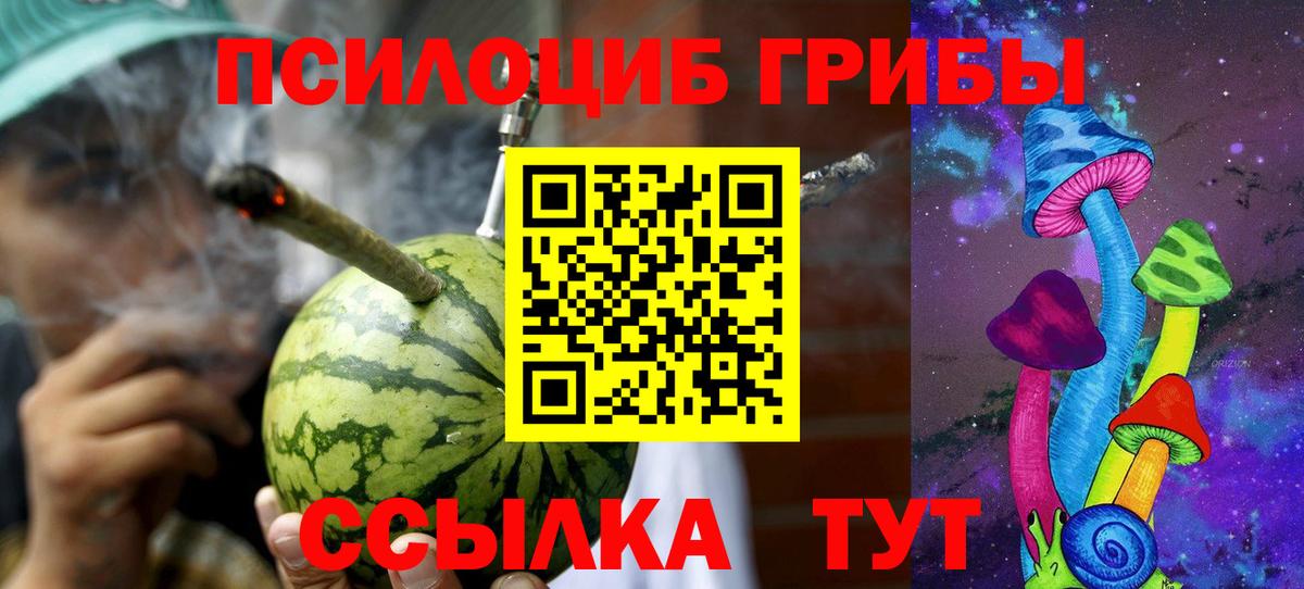 Солнечногорск  Галлюциногенные грибы Psilocybine cubensis  Псилоцибиновые грибы прущие грибы  Вход с VPN 